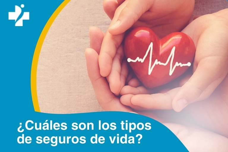 ¿Cuáles son los tipos de seguros de vida?